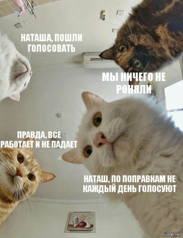Сходил проголосовал
