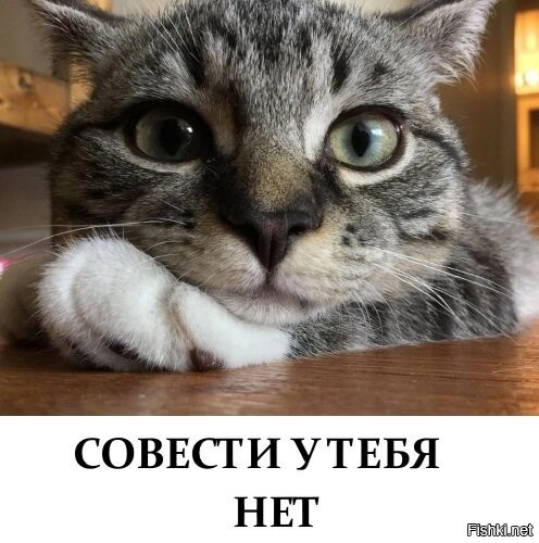 ну не могу я больше на диете