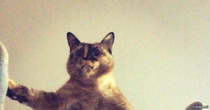 Солянка от 01.07.2020