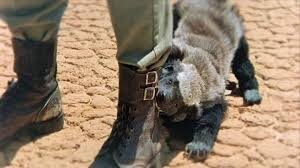 Смешные картинки