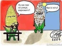 Кукуруза, так кукуруза