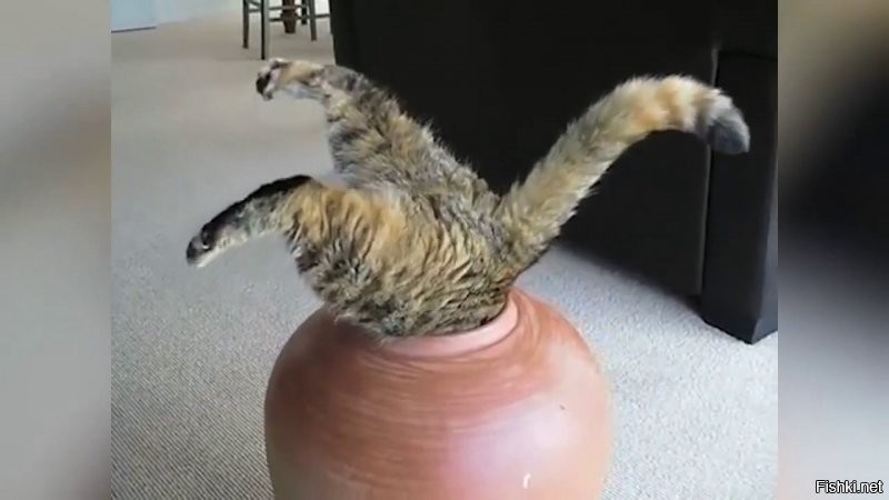 ?!?!