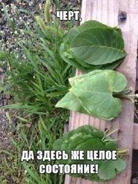 Про деньги забыли