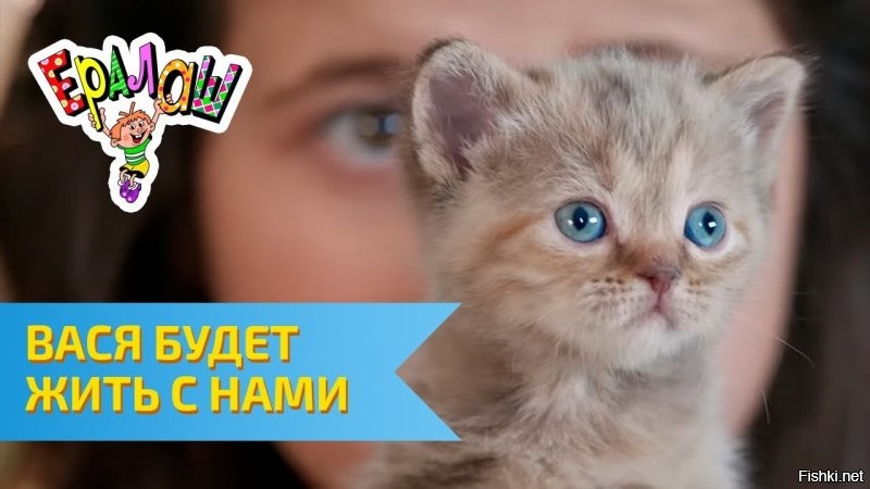 Солянка от 01.07.2020