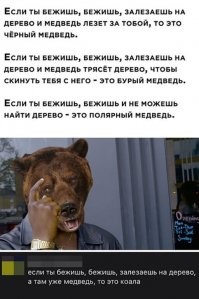 Смешные картинки