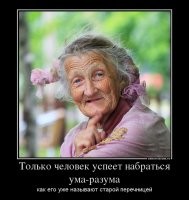 Авария дня. ДТП из-за старушки в Красноярском крае