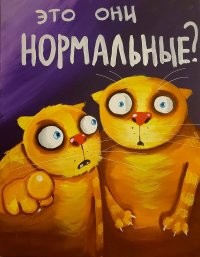 Жесткая месть лопатой: хозяева частного дома разбили автомобиль, припаркованный возле их ворот