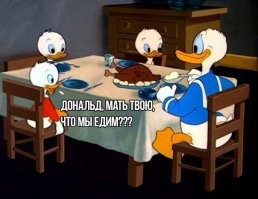 12 поразительных фактов из мира животных