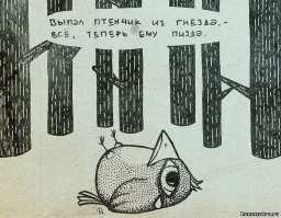 Про аистов.