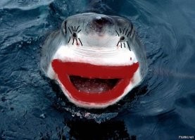 Прекрасный фильм. Даже представить не могу на сколько Спилберг (и его команда) талантлив, если с таким не очень большим бюджетом получился шедевр. И наши, простите, режиссеры...