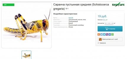 Дорогая саранча ныне.))