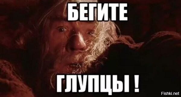 ну почему же глупцы? правильно сделали, что спетляли от выполнения приступных приказов, от незаконной могилизации и т.д.