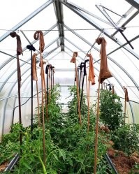 Чёрт, да ты гений!