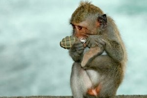 Вот уж точно говорят!