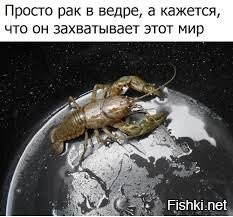 Солянка от 04.07.2020