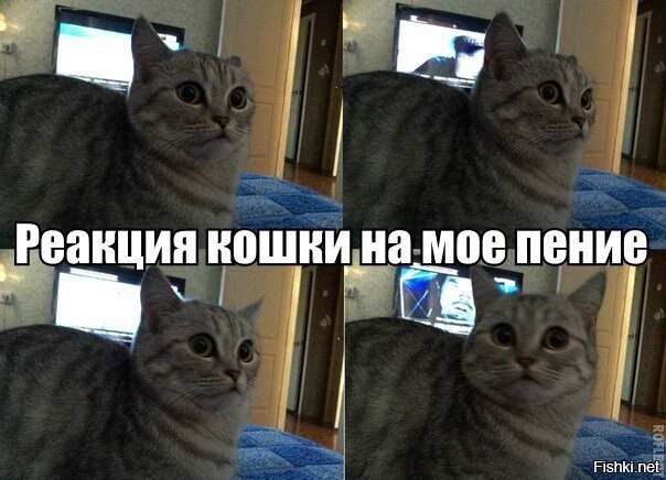 Солянка от 04.07.2020