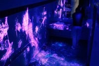 Сыщики тайно проверили как убирают в дорогих отелях