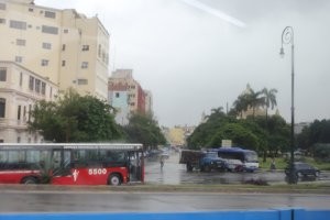 Специально автобусы не снимал, но видел очень много китайских автобусов