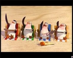 Экскурсия бездомных животных по зоопарку