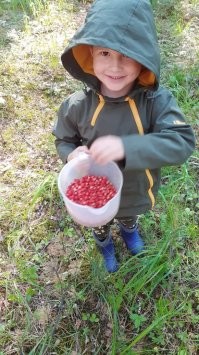 Фотоподборка