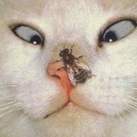 Главное не шевелись