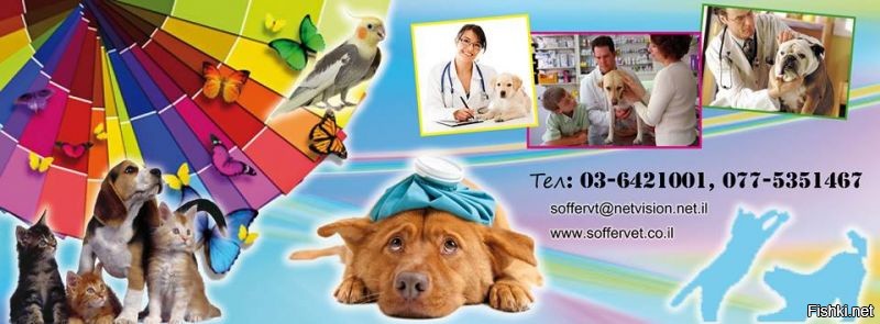 Солянка от 04.07.2020