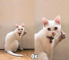 Экскурсия бездомных животных по зоопарку