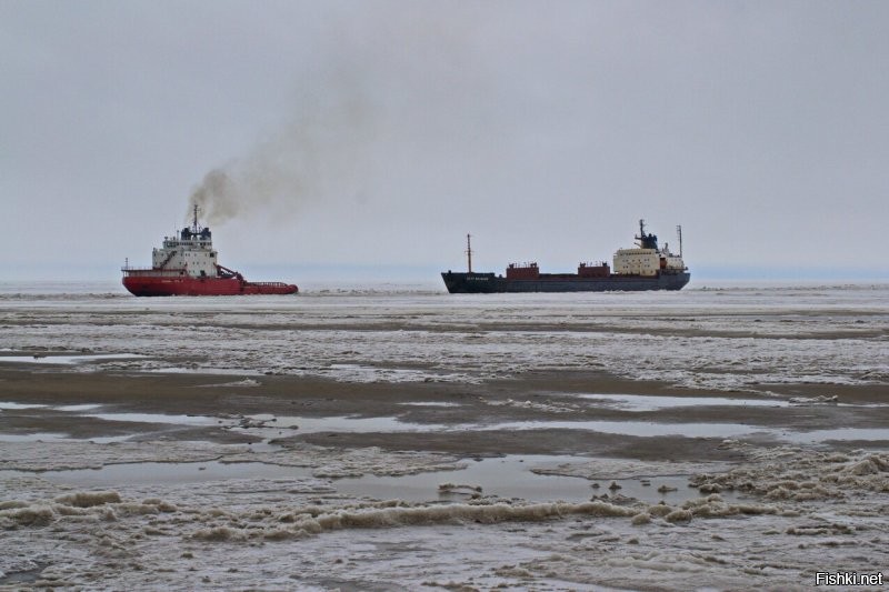 добавлю пару копеек