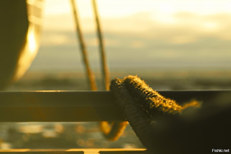 добавлю пару копеек