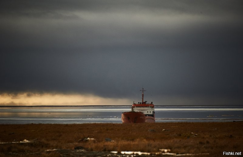 Вот вам сухогруз Колгуев
Ямал 2019 август