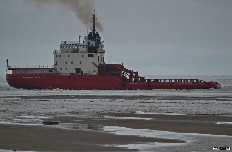 добавлю пару копеек