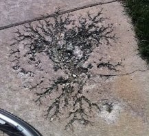 След удара молнии в землю выглядит как-то так, а то, что на картинке 8 - это не молния.