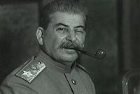 Расстрелять всех этих собак и привести к ответу тех , кто допустил такие случаи !