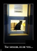 Хохотальня