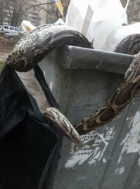 Ага...а потом вот так