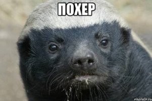 Смешные картинки