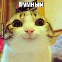 Смешные картинки