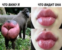 зачем ехать в Москву, у нас и тут таких есть