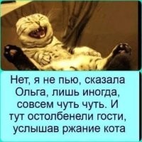 Смешные картинки