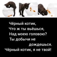 Смешные картинки