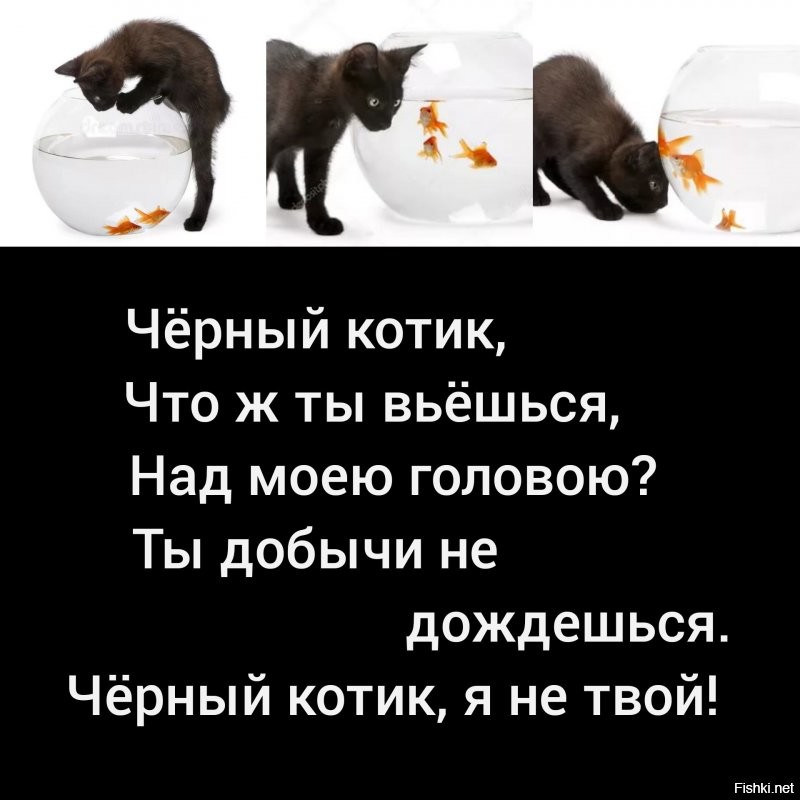 Смешные картинки