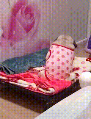 Доброе утро