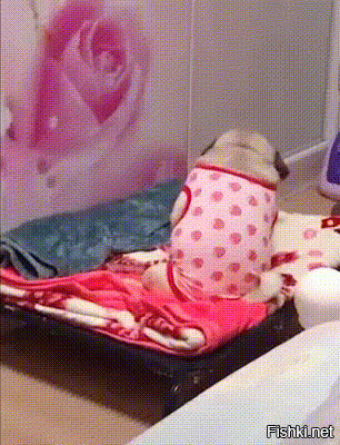 Доброе утро