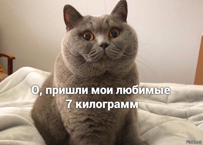 Солянка от 06.07.2020
