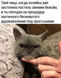 Смешные картинки