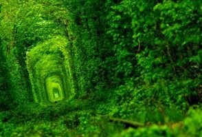 Сюрпризы посреди дороги высотой с двухэтажный дом