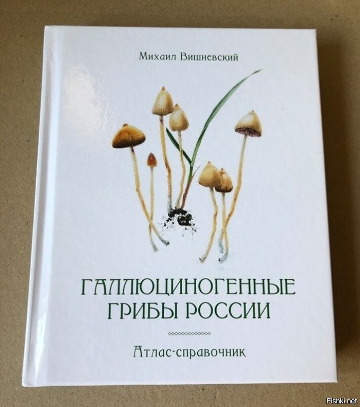 Главное книгу хорошую взять, тогда и грибы правильные вырастут.