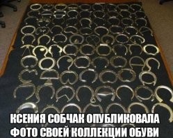 Ножная броня для защиты коня: зачем лошадям нужны подковы?