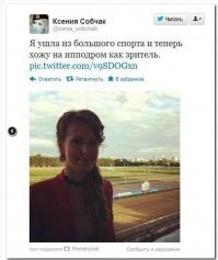 Ножная броня для защиты коня: зачем лошадям нужны подковы?