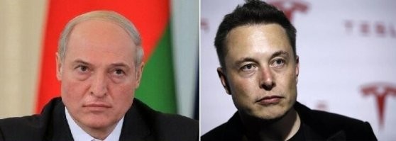 Смешные картинки